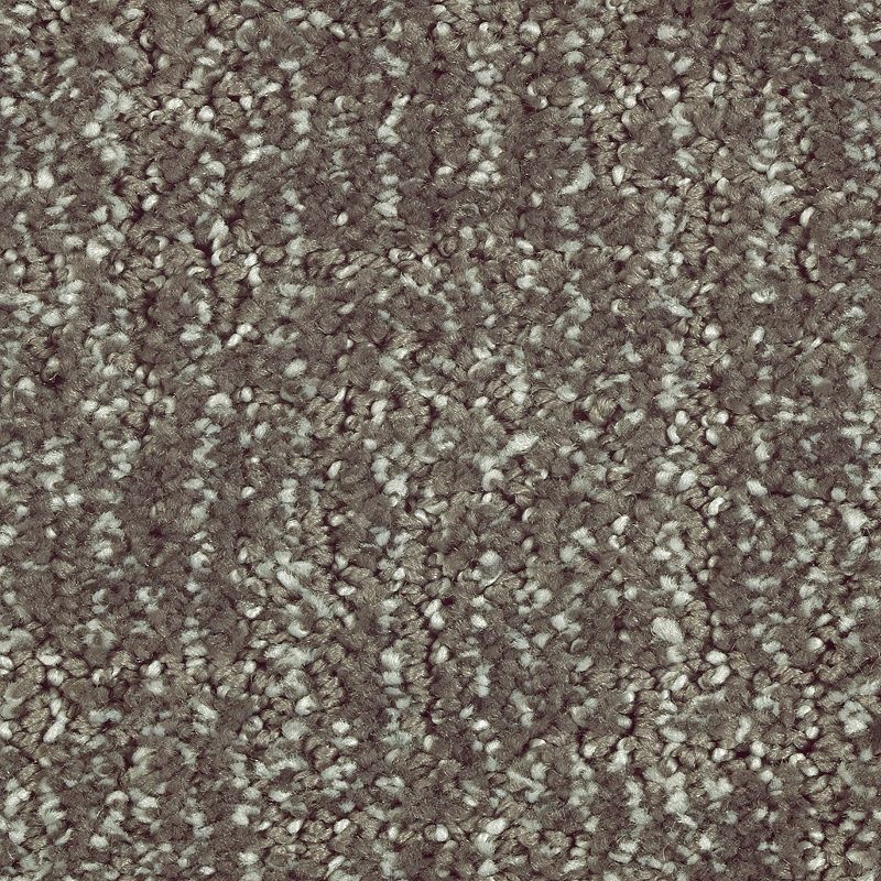 Natural Artistry Wrought Iron Triexta Carpet - Pattern