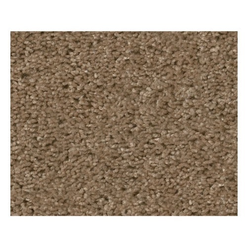 To The Point Raw Wood Polyester Carpet - Textured