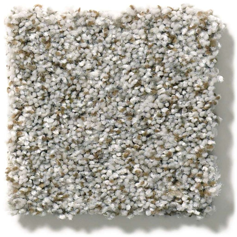 Simply The Best Cabana Life (B) Stone Polyester Carpet - Textured