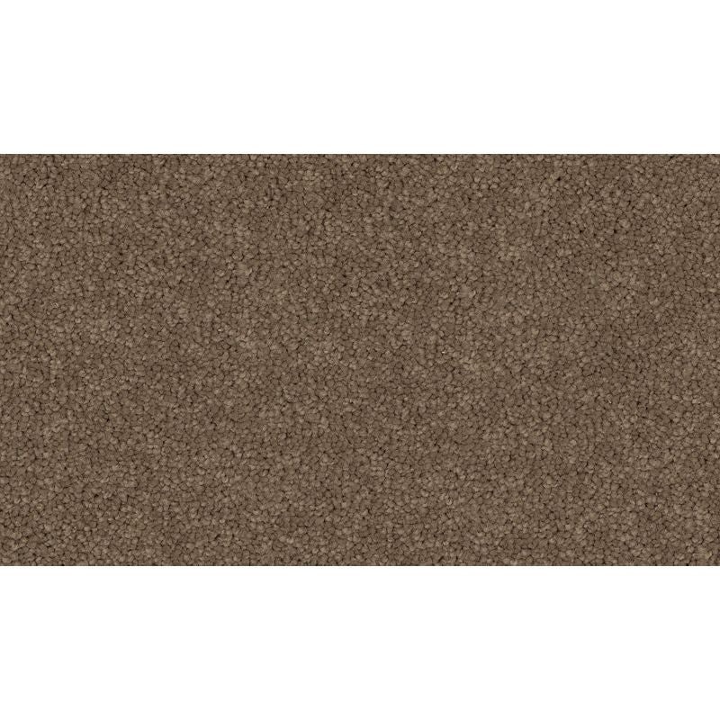 Coastal Fashion Iii Driftwood Nylon Carpet - Textured
