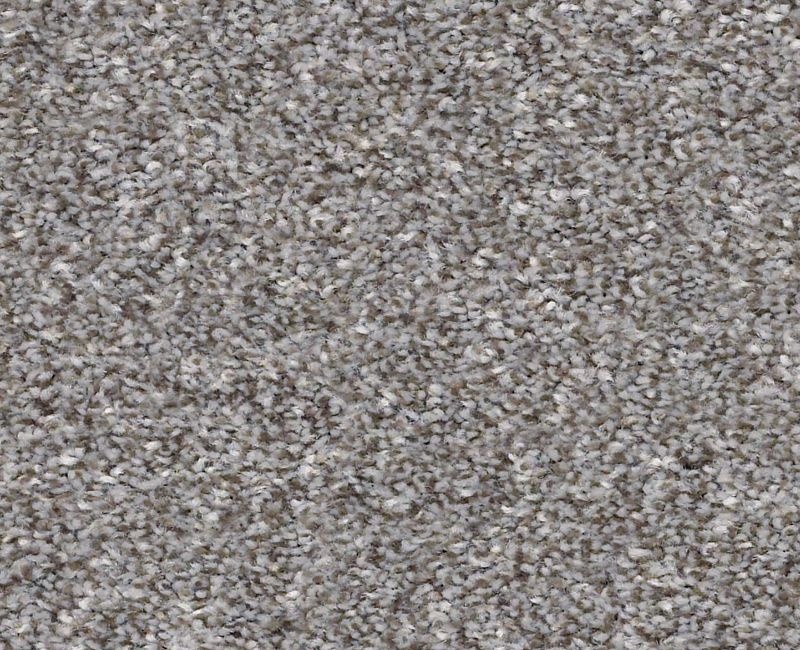 Just Right II Cedar Ridge Polyester Carpet - Textured