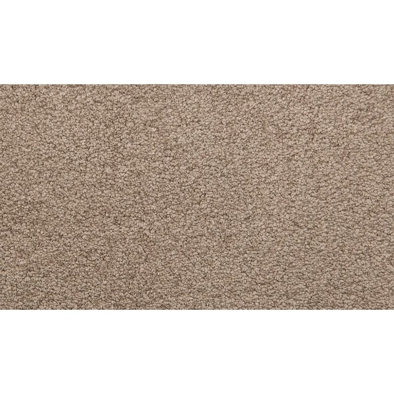 Pleasant Touch Tudor Brown Triexta Carpet - Textured