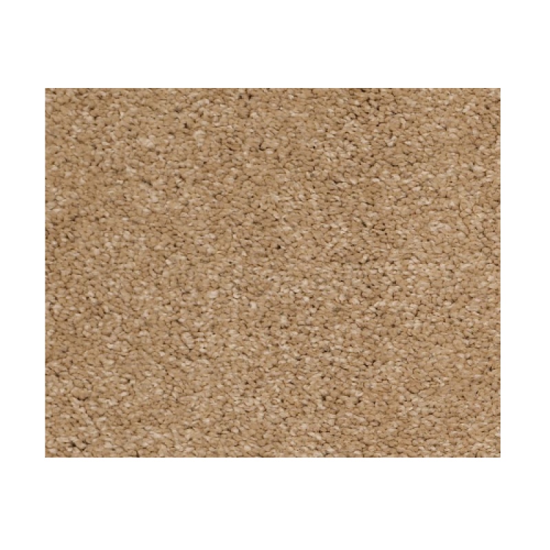 Castle Pv Ii Brass Lantern Nylon Carpet - Textured