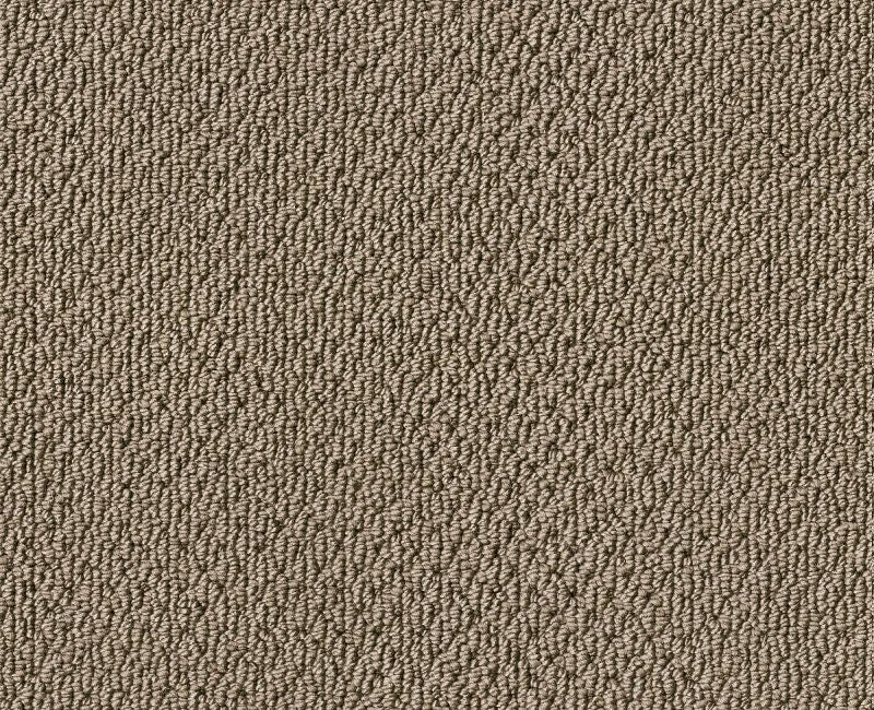 Wishful Thinking Grounded Nylon Carpet - Pattern