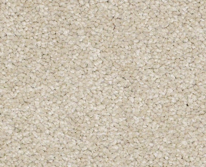 Bright Spirit Ii 15' Country Haze Nylon Carpet - Textured