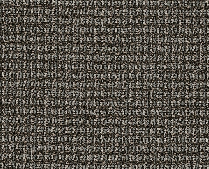 Clearance Sale! Dateline Today Light Brown / Gray Nylon Carpet - Loop