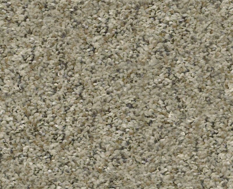 Marks The Spot Ii Tree House Polyester Carpet - Textured