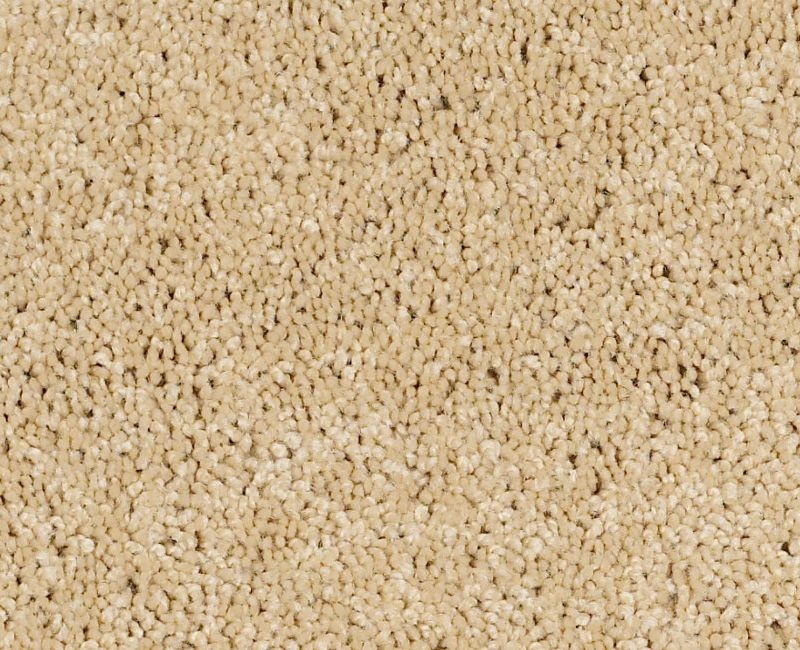 Playa Blanca Blonde Cashmere Textured Nylon Carpet