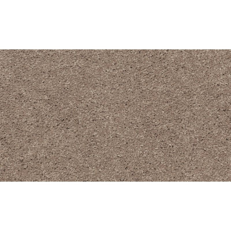 Soft Edition I Homestead Polyester Carpet - Textured