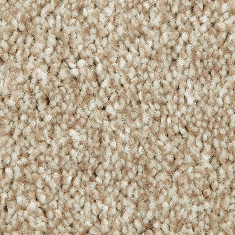 Distinct Beauty I Dakota Polyester Carpet - Textured