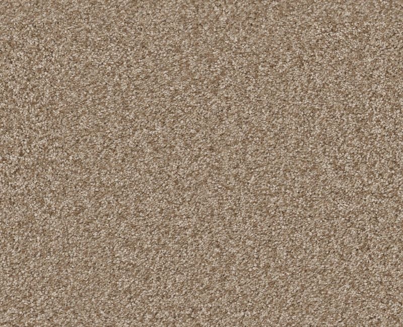 Big News I Worn Path Polyester Carpet - Pattern