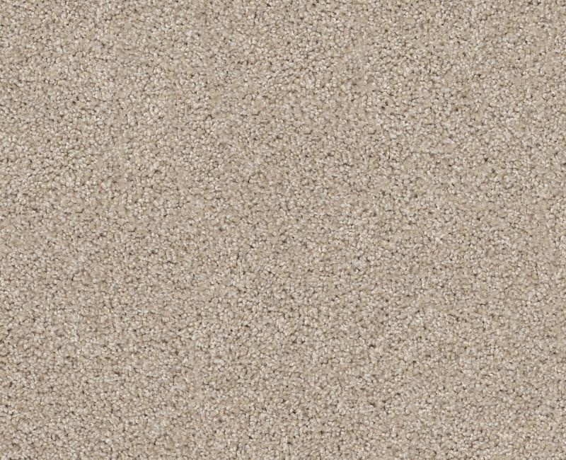 Inspire Me I Scone Nylon Carpet - Textured