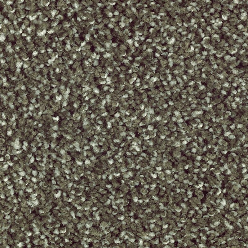 Natural Refinement Ii Pine Needle Triexta Carpet - Textured