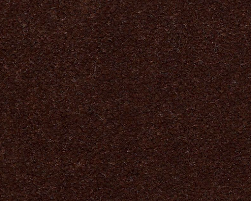Emphatic II 36 Hazelnut Nylon Carpet - Textured