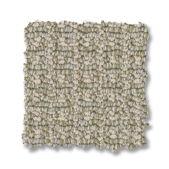 Pet Perfect Fetch Soft Fern Nylon Carpet - Loop