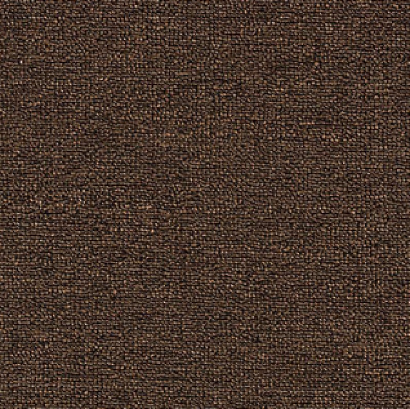 Rule Breaker 26 Walnut Polyester Carpet - Loop