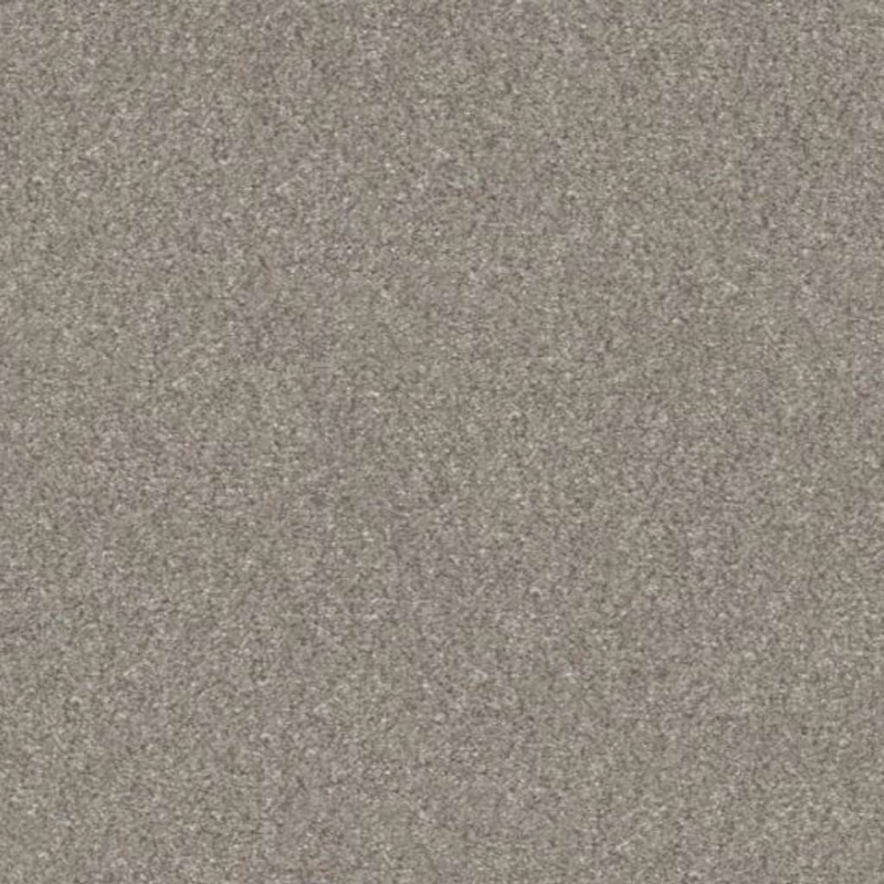Simply The Best Without Limits III Heather Polyester Carpet