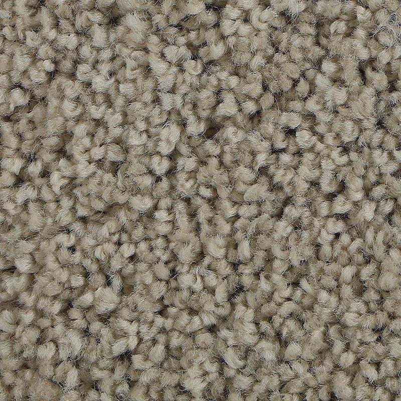 Soft Outlook Taupe Whisper Polyester Carpet - Textured