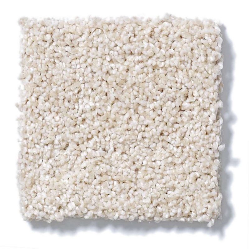 Foundations Always Ready I Boutique Nylon Carpet - Textured