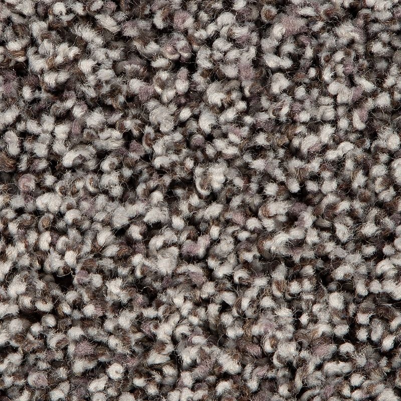 Soft Accolade I Flannel Polyester Carpet - Textured