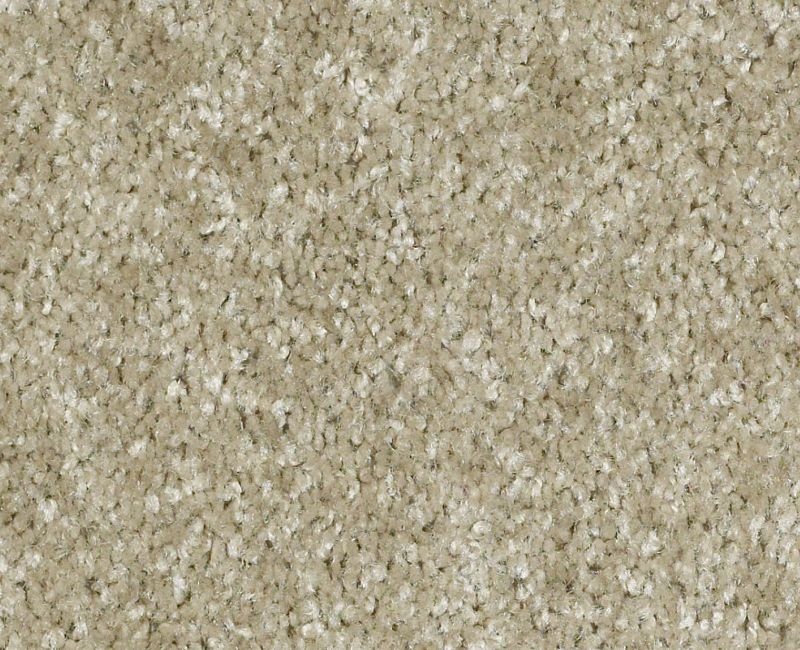 Lake Stevens Adonis Textured Area Rug