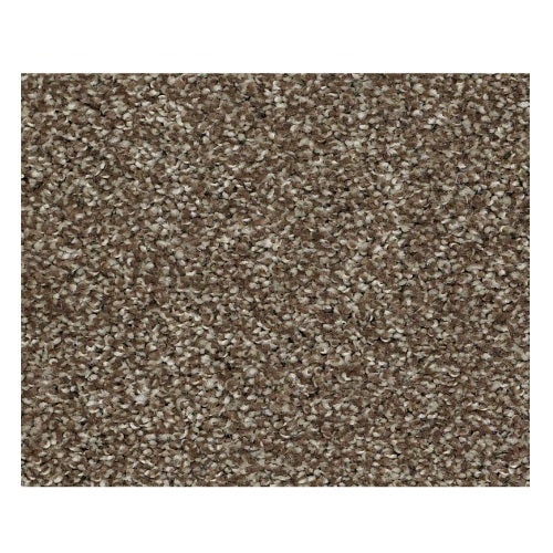 Striking Townhouse Nylon Carpet - Textured