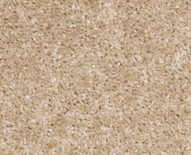 Resolution Targa Nylon Area Rug - Textured