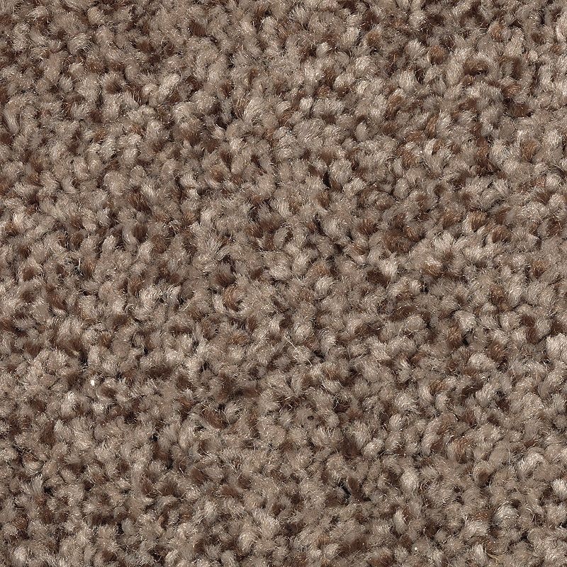 Tonal Chic I Royal Pecan Polyester Carpet - Textured