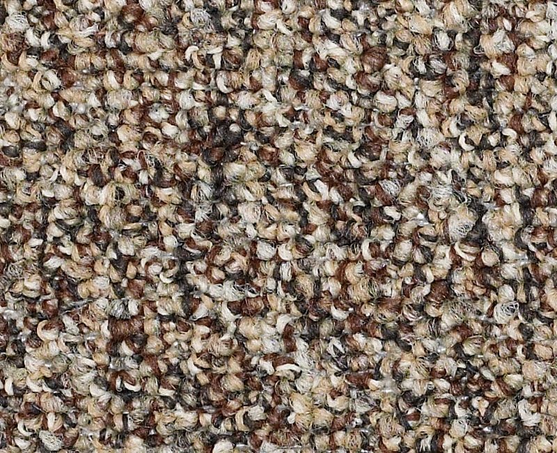 Clearance Sale! Franchise Ii 28 Brown / Taupe Nylon Carpet - Textured