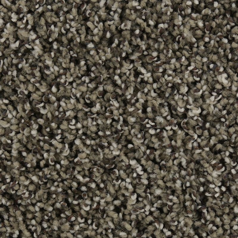 Natural Opulence I Ancestral Triexta Carpet - Textured