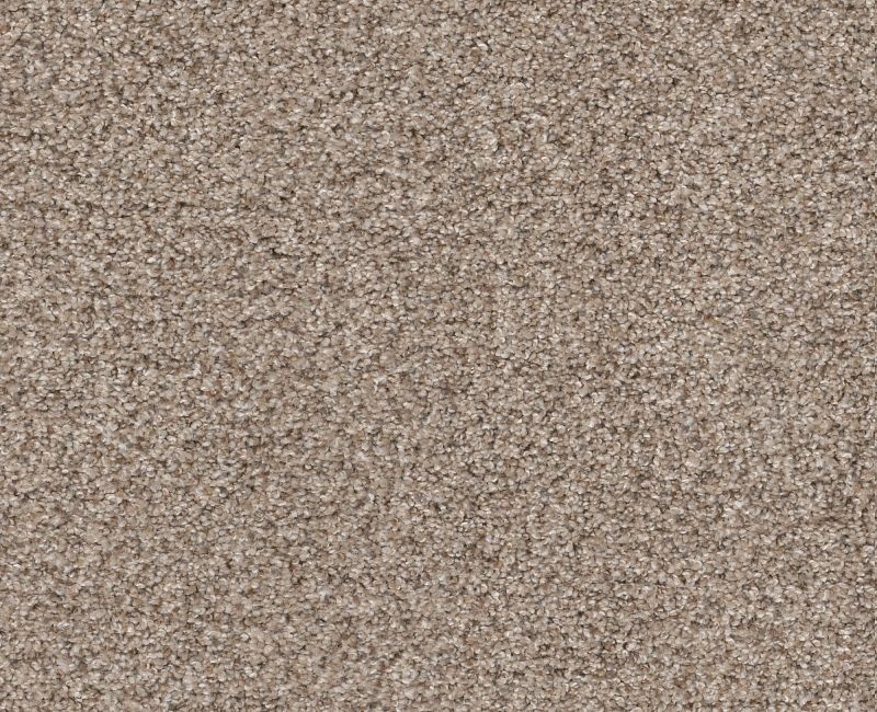 Privy Sands Of Time Nylon Carpet - Loop