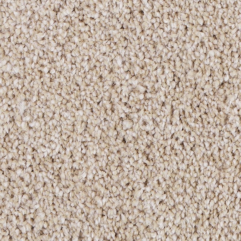 Delicate Tones II Harmonious Textured Triexta Carpet