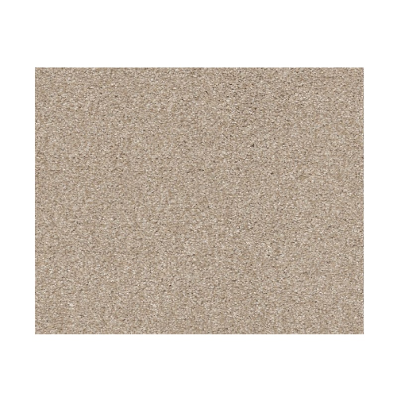 Bountiful Beauty Scone Nylon Carpet - Textured