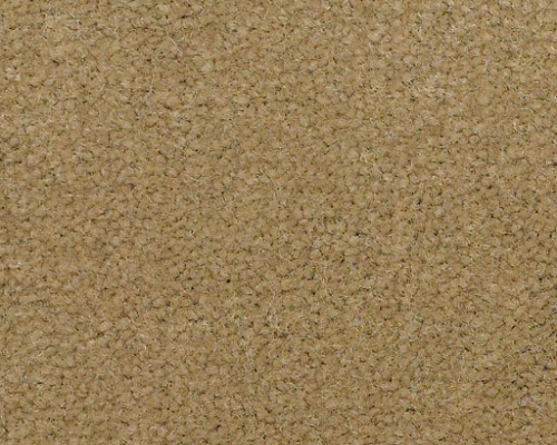 Emphatic II 36 Butterscotch Nylon Carpet - Textured