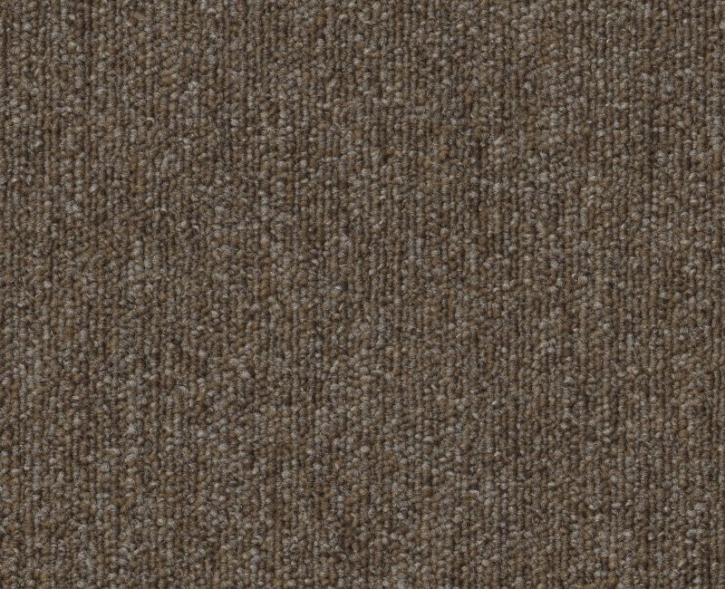 Clearance Sale! Profusion Bl 13 Brown Polyester Carpet - Loop