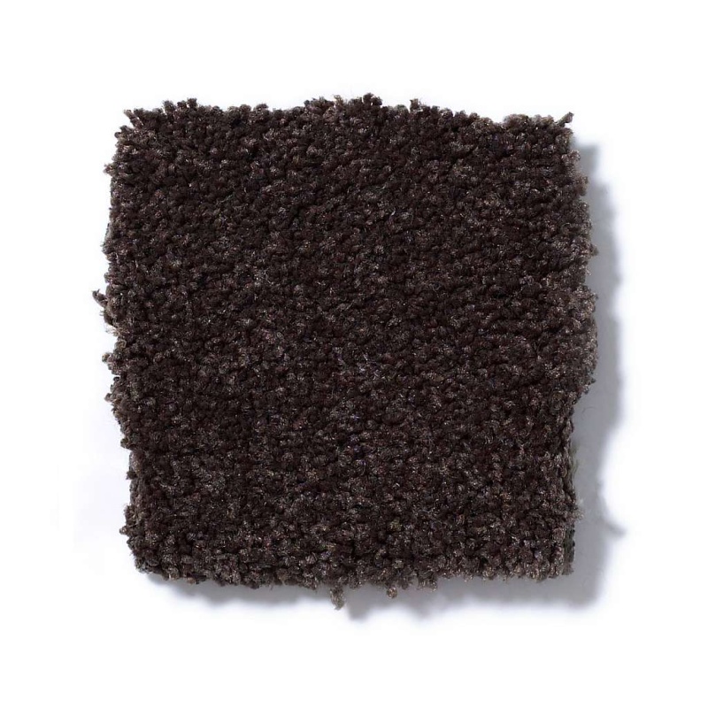 Magic At Last Ii 15' Dark Chocolate Nylon Carpet - Textured