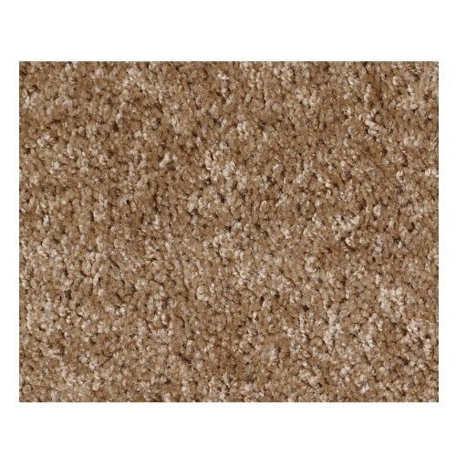 Vermont (S)12' Bungalow Nylon Carpet - Textured