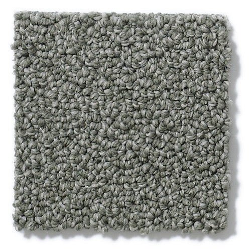 Personal Style Hidden Cover Nylon Carpet - Loop
