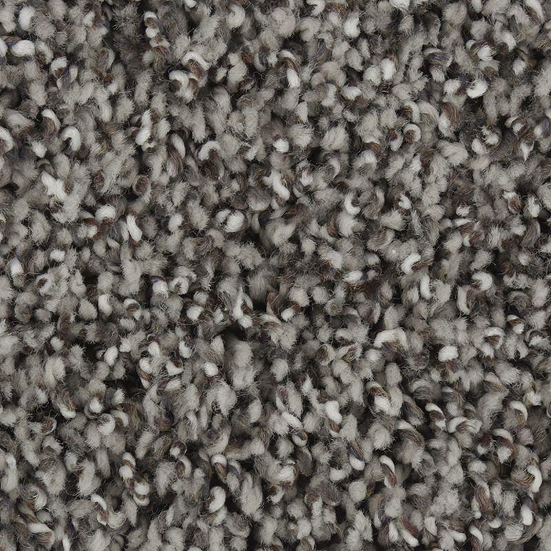 Exquisite Character Folkstone Triexta Carpet - Textured