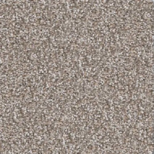 Rainier Lookout Polyester Carpet - Textured