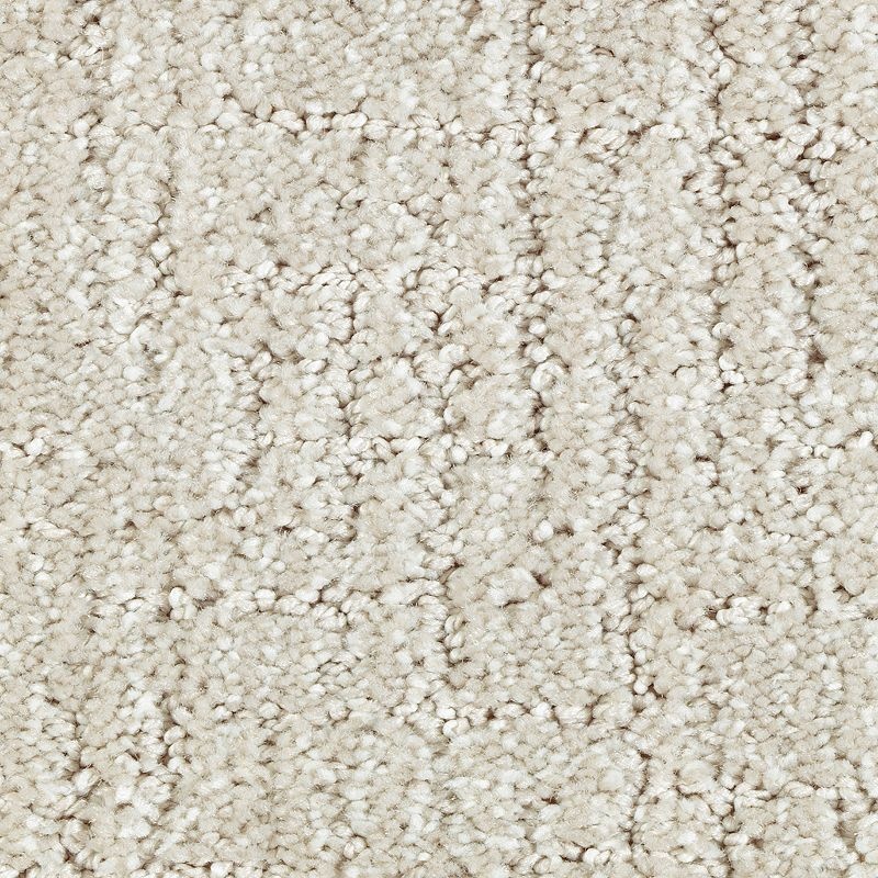 Natural Artistry Stone Sculpture Triexta Carpet