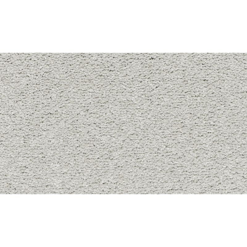 Gentle Approach Stoneworks Triexta Carpet - Textured