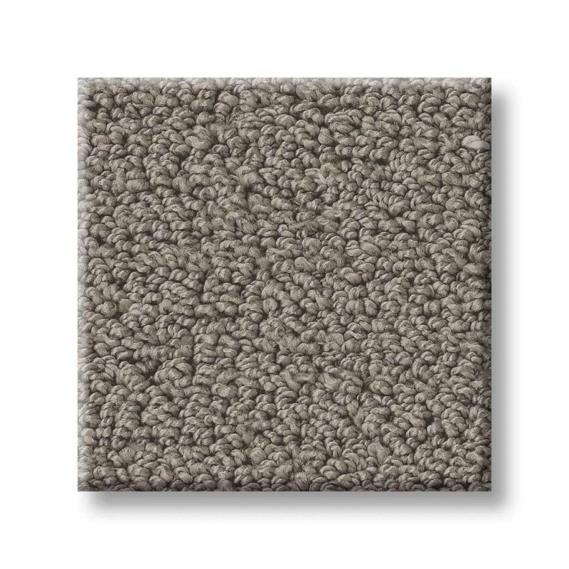 Pet Perfect Intricate Trace Ashes Polyester Carpet - Pattern