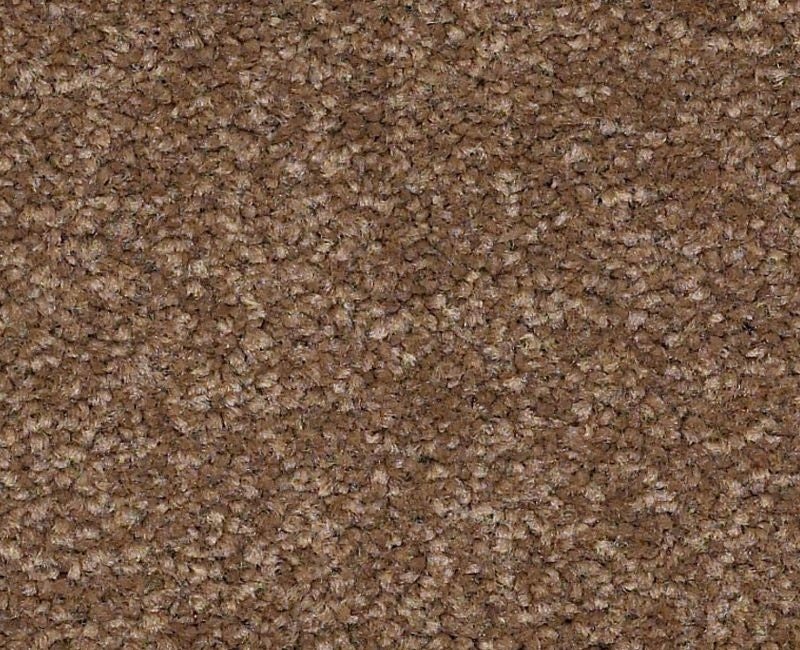 Qs160 15' Pine Cone Nylon Carpet - Textured