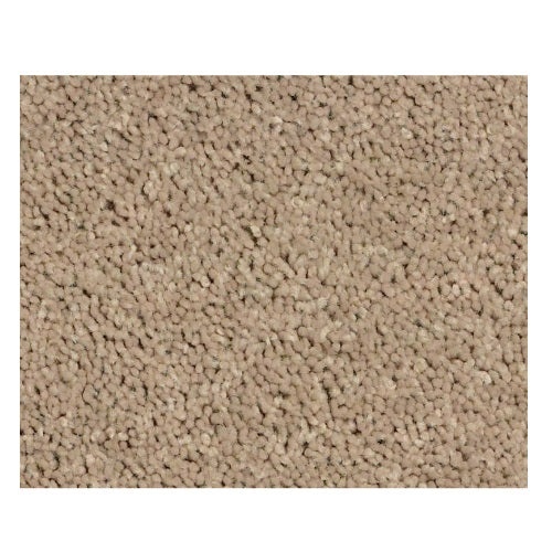 North Shore Iii Tassel Polyester Carpet - Textured