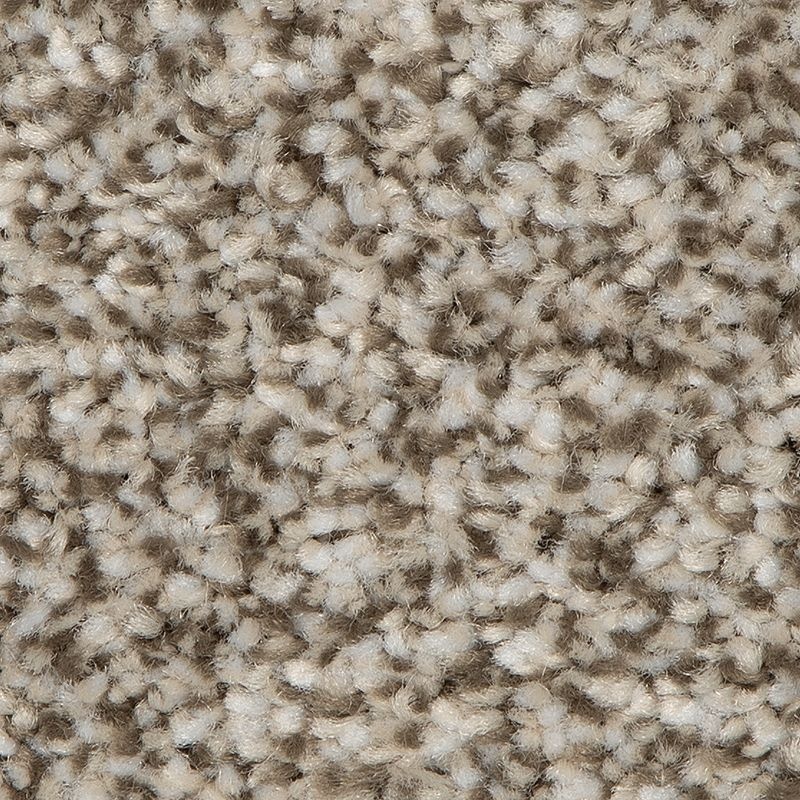 Refreshing Shades Graceful Polyester Carpet - Textured