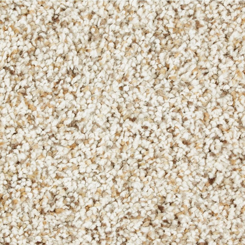 Exquisite Appeal Beach House Triexta Carpet - Textured