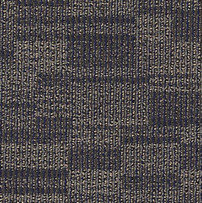 Inspiration Distinctive Appeal Qs Unique Adaptation Nylon Carpet - Loop