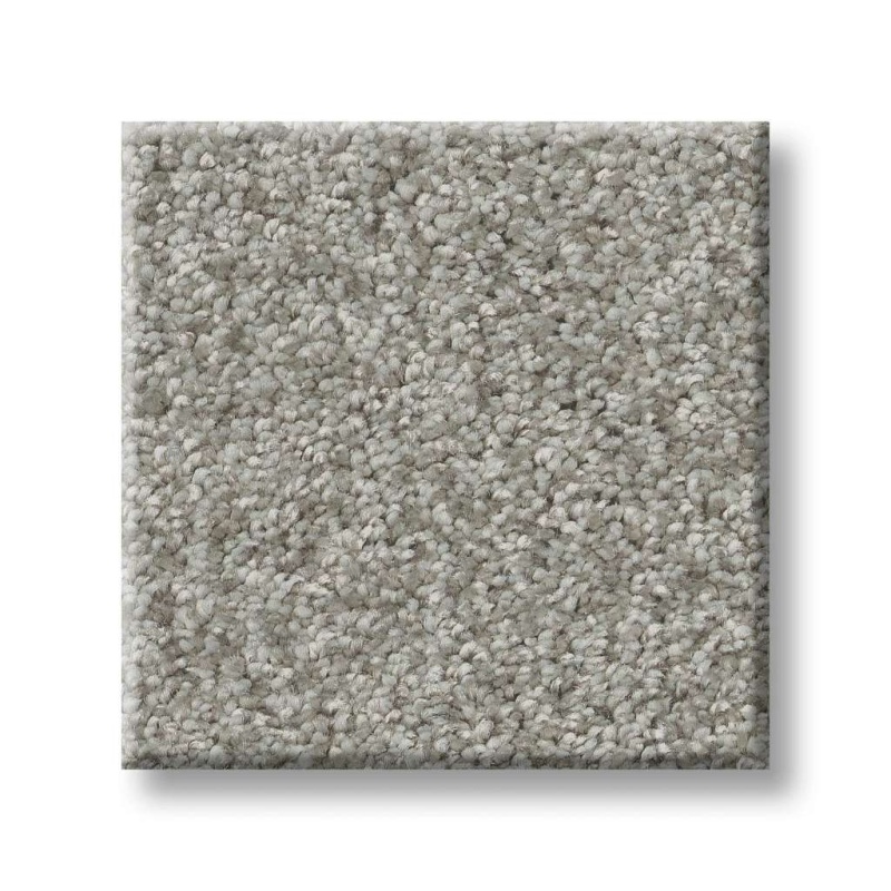 Pet Perfect You Got This Ii Frosted Leaf Polyester Carpet - Textured