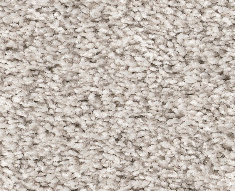 Calm Embrace I Serene Still Polyester Carpet - Loop